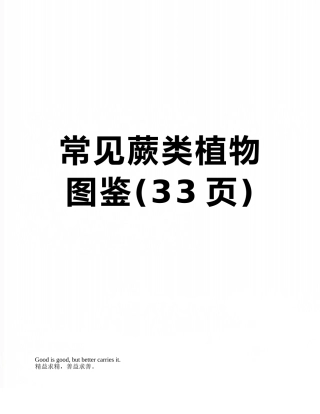 常见蕨类植物图鉴