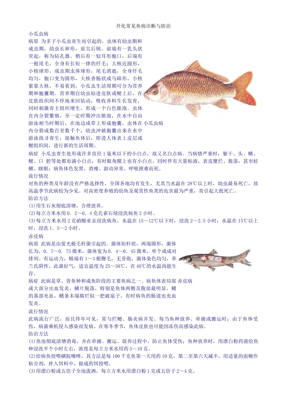 常见鱼病诊断与防治_第1页