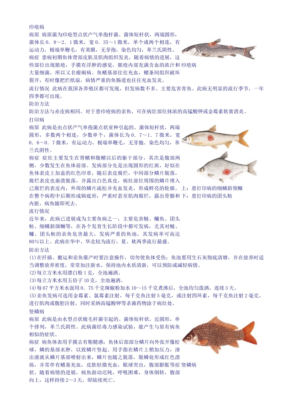 常见鱼病诊断与防治_第2页