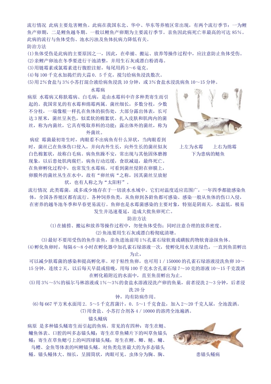 常见鱼病诊断与防治_第3页