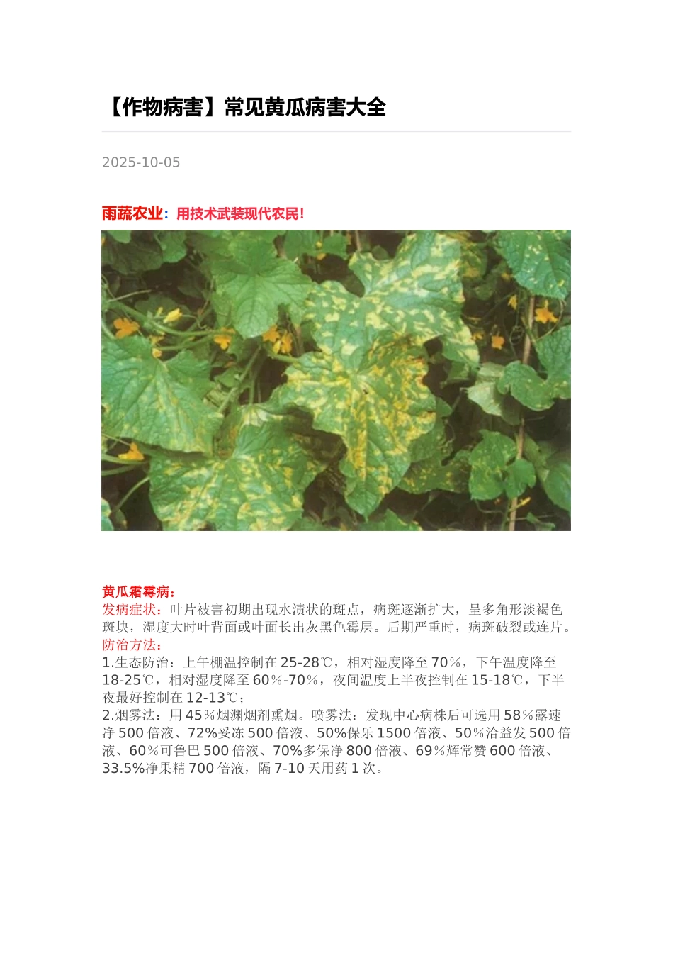 常见黄瓜病害大全_第1页