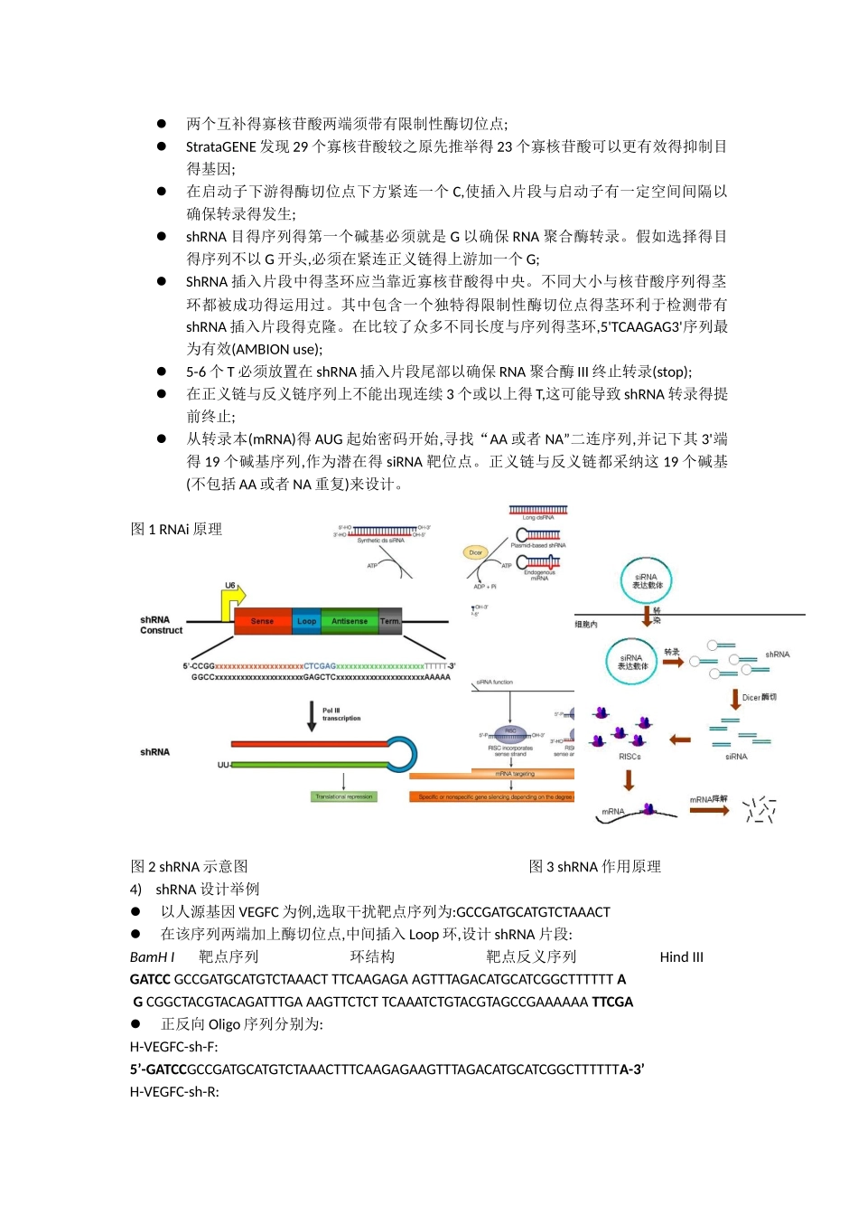 干扰载体构建sop_第2页