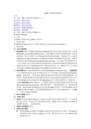 干扰载体构建sop