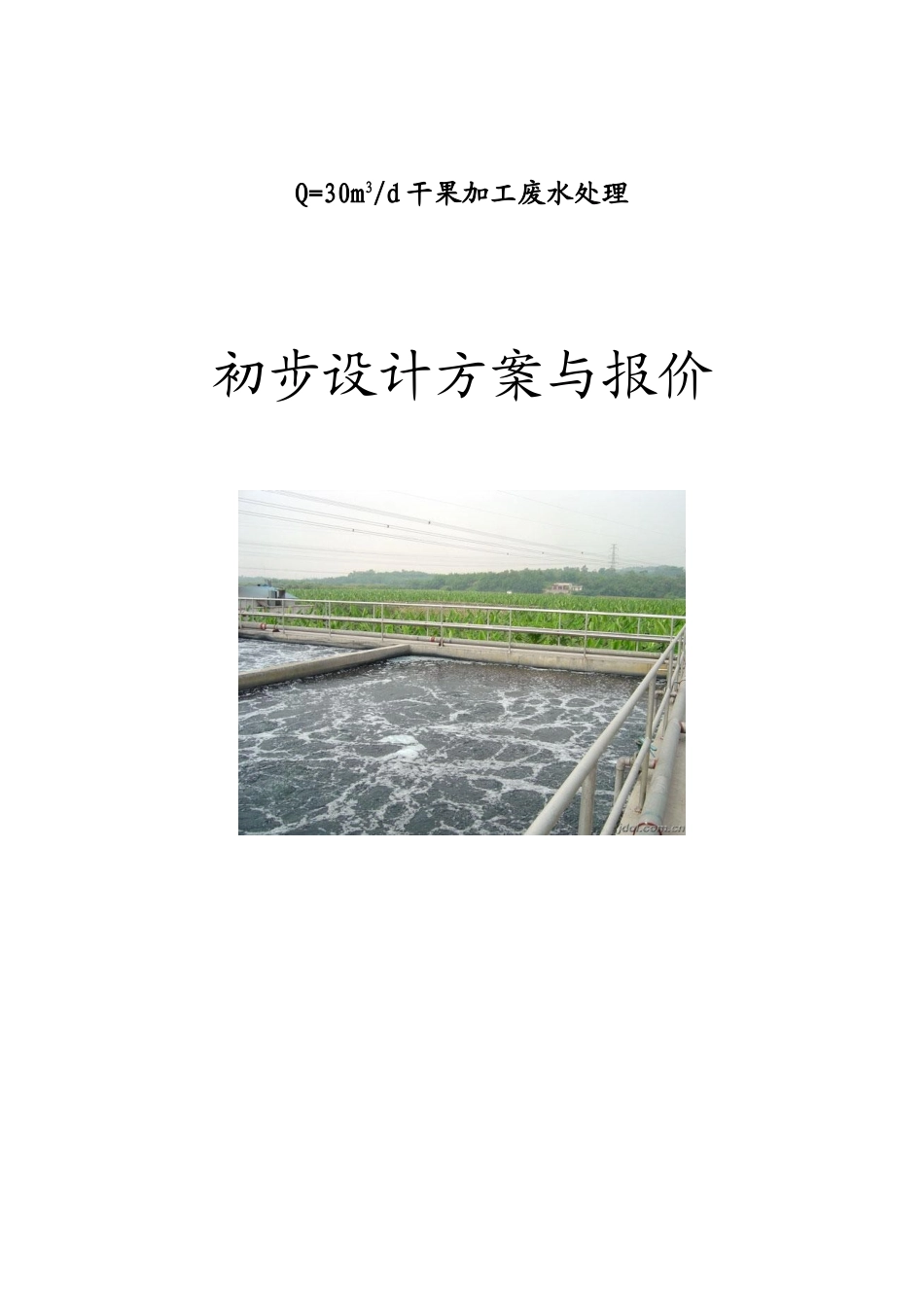 干果加工废水处理设计方案_第1页