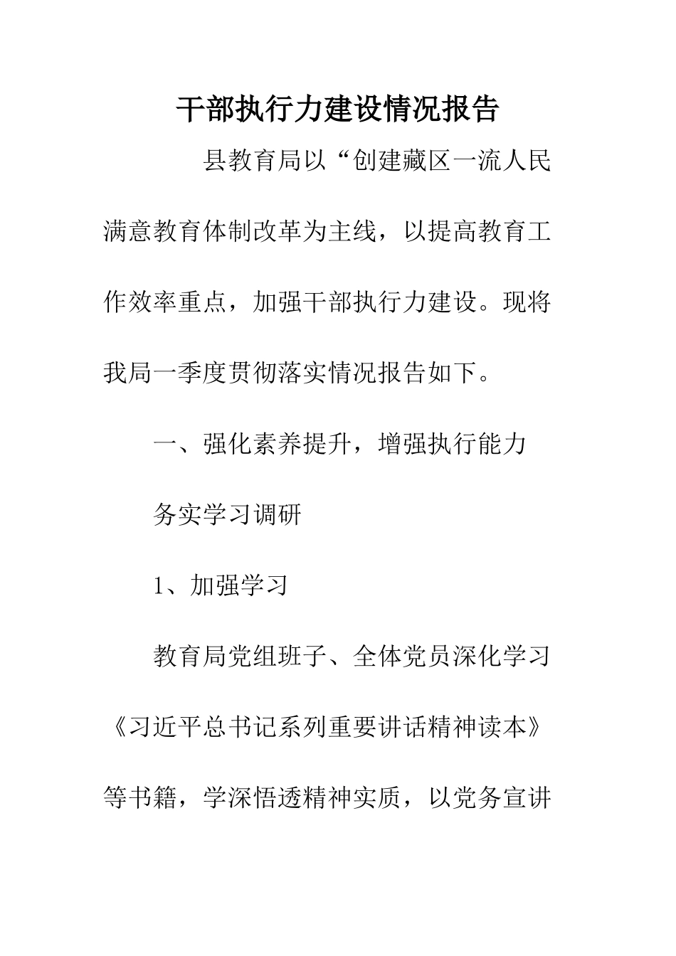 干部执行力建设情况报告_第1页