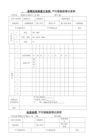 平行检验监理记录表