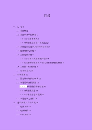 年产万吨pan基碳纤维原丝建设可行性研究报告