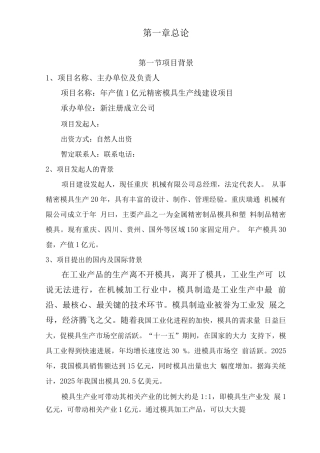 年产值1亿元精密模具生产线可行性研究报告