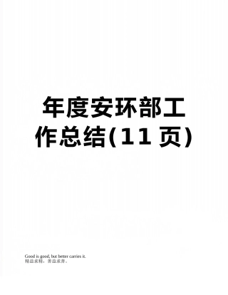 年度安环部工作总结
