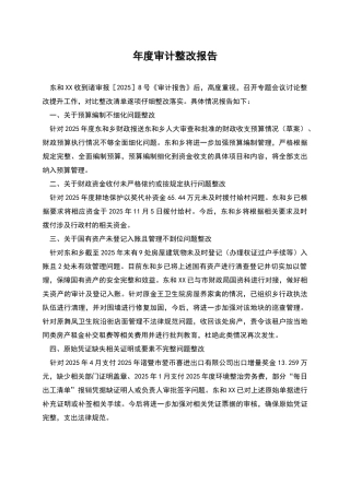 年度审计整改报告