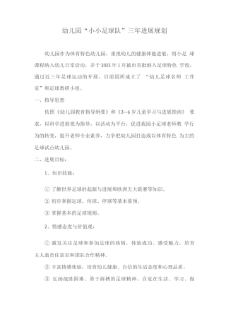 幼儿园“小小足球队”三年发展规划