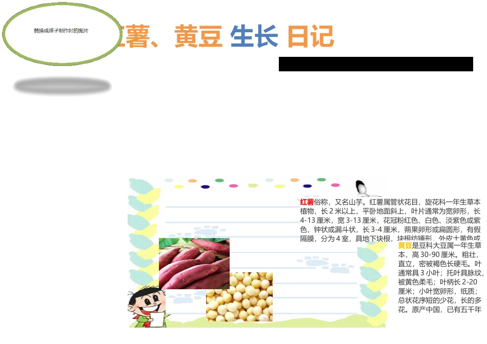 幼儿园植物生长记录_第2页