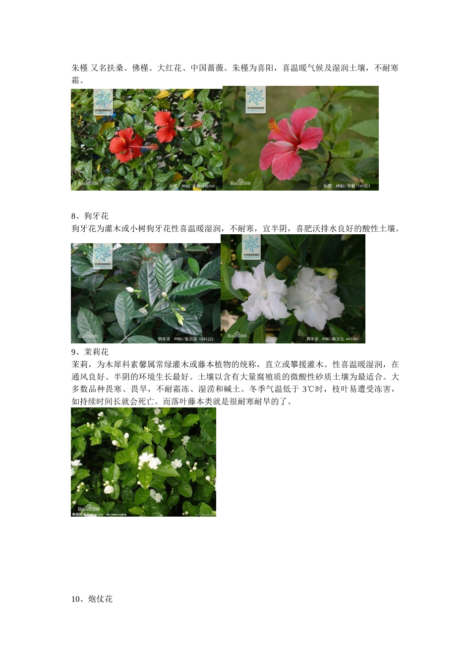 广东常见园林植物1_第3页