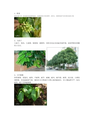 广东常见园林植物1