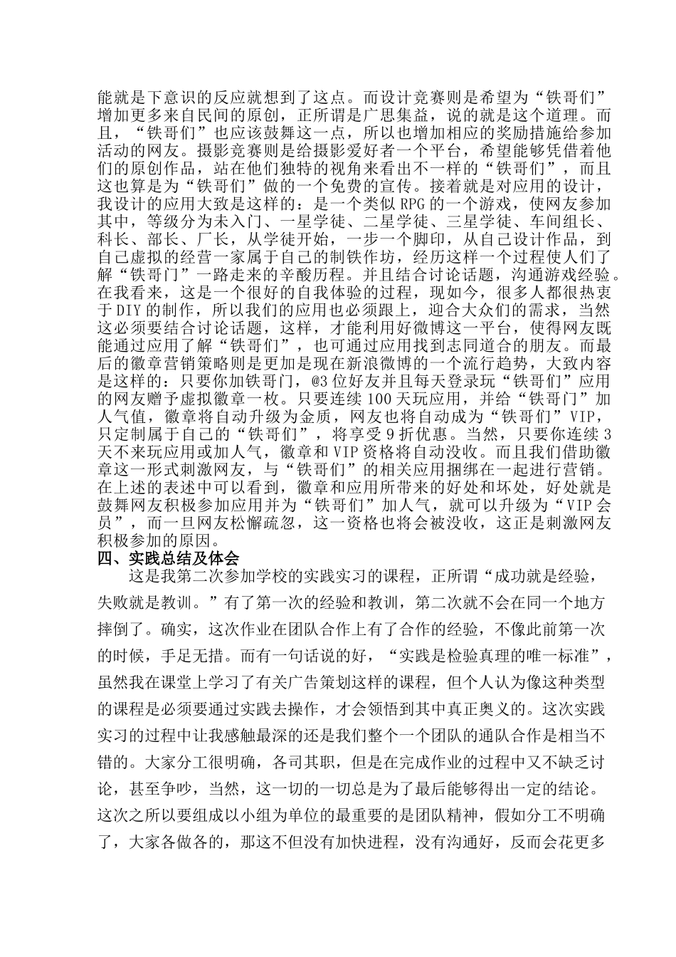 广告策划实习报告_第3页