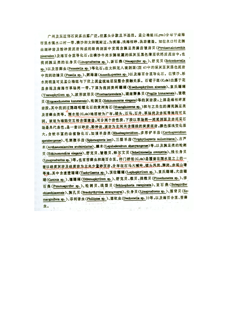 广州及其临近地区地质资料_第3页