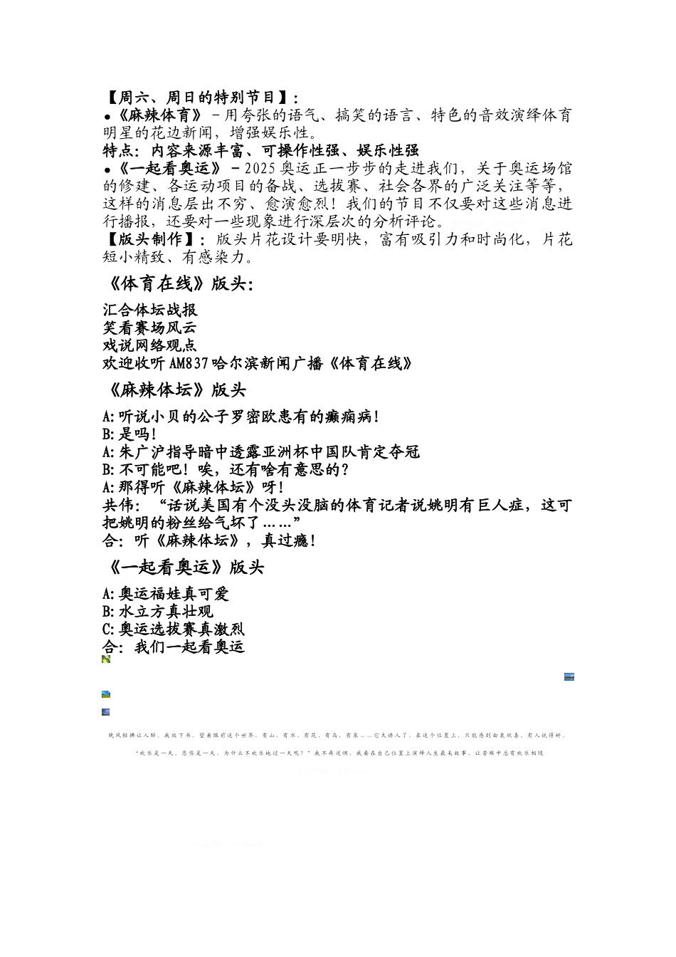 广播体育节目改版方案_第2页