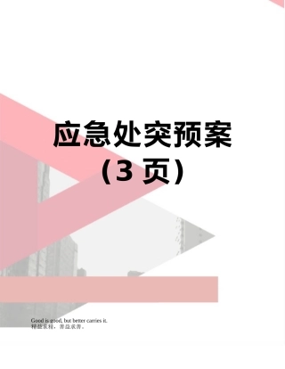 应急处突预案