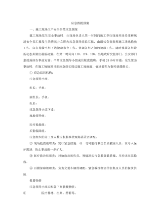 应急救援预案4