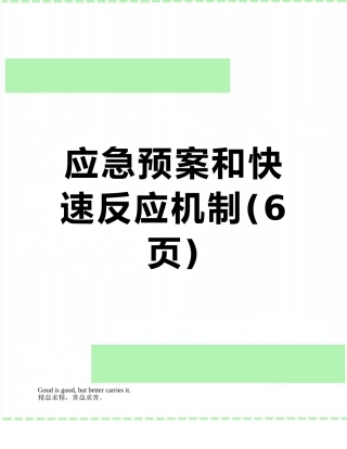 应急预案和快速反应机制