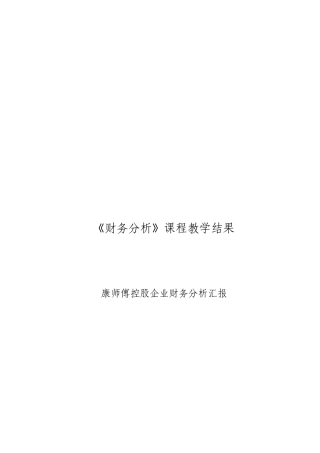 康师傅控股公司财务分析报告