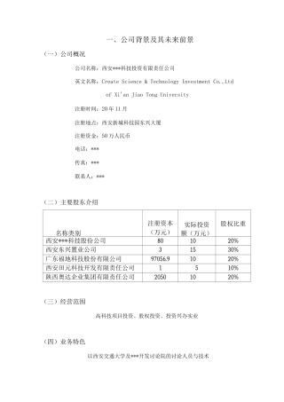 开元投资公司项目可研报告