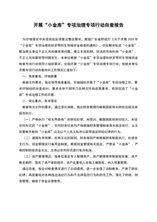 开展“小金库”专项治理专项行动自查报告