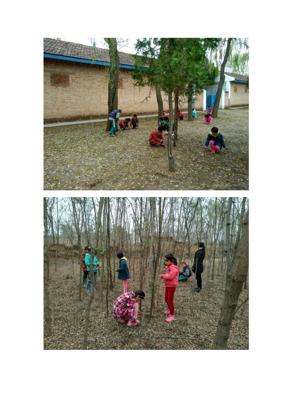 开展活动简报_第3页