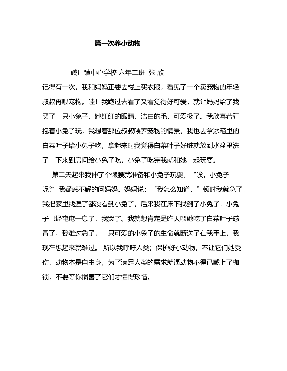张-欣作文——难忘的第一次_第2页