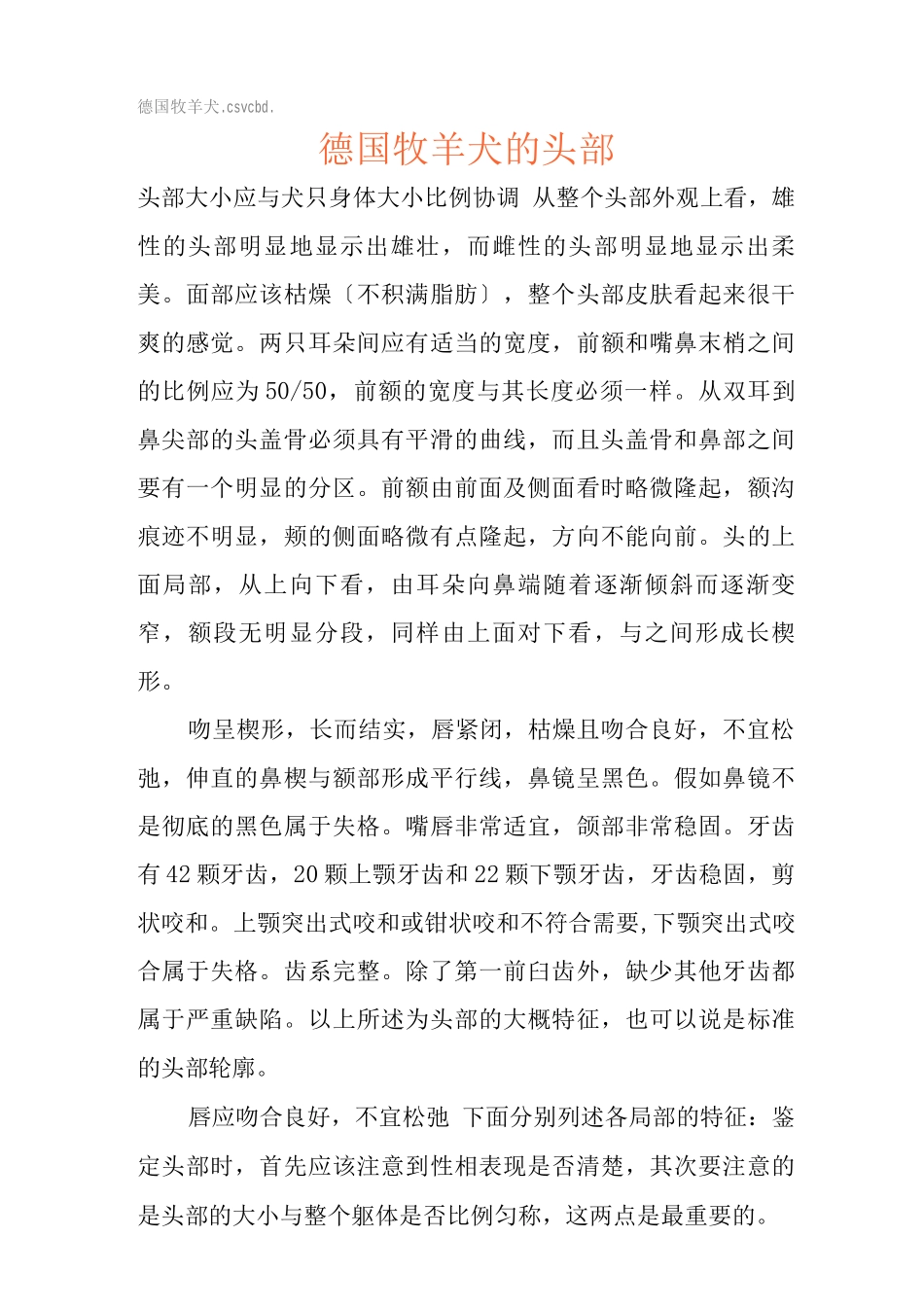 德国牧羊犬的头部_第1页