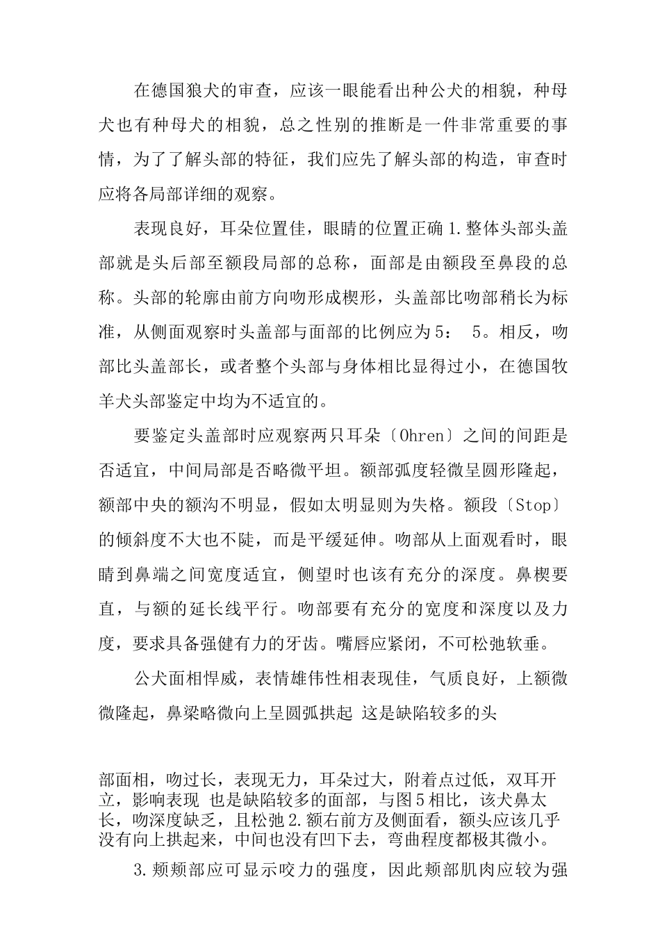 德国牧羊犬的头部_第2页