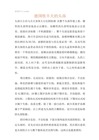 德国牧羊犬的头部