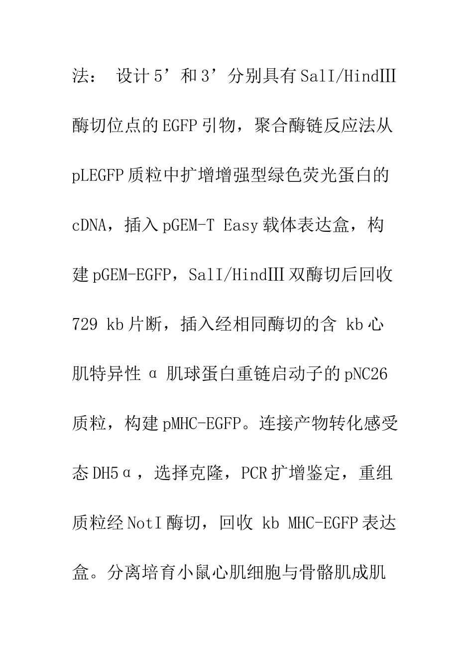 心肌α肌球蛋白重链启动子驱动的绿色荧光蛋白表达载体的构建及鉴定_第2页