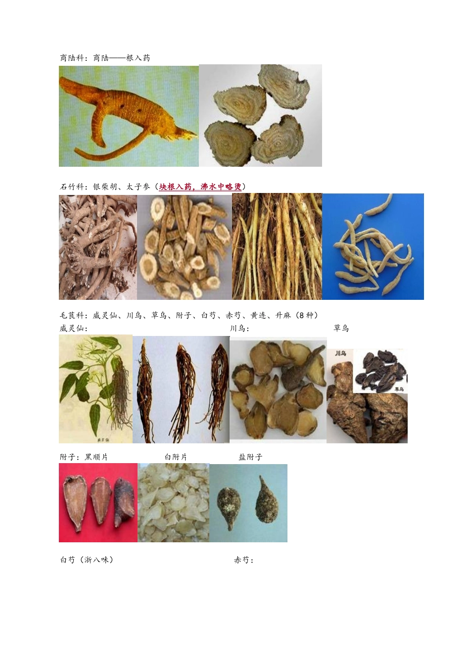 执业中药师必考高清中药彩色图谱_第2页