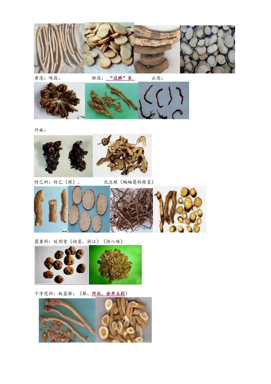执业中药师必考高清中药彩色图谱_第3页