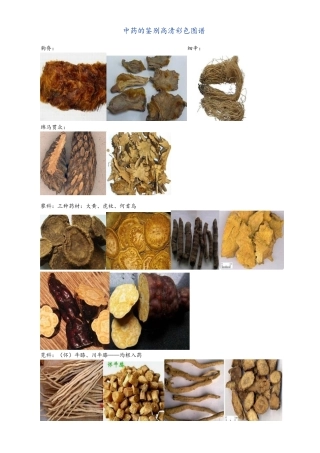 执业中药师必考高清中药彩色图谱