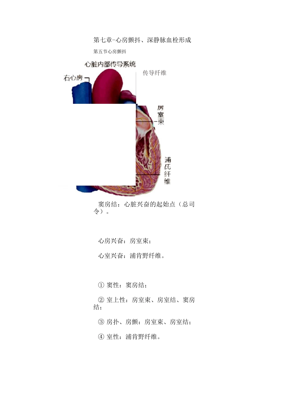 执业药师资格考试-药学综合知识与技能考试重点-心房颤动、深静脉血栓形成_第1页