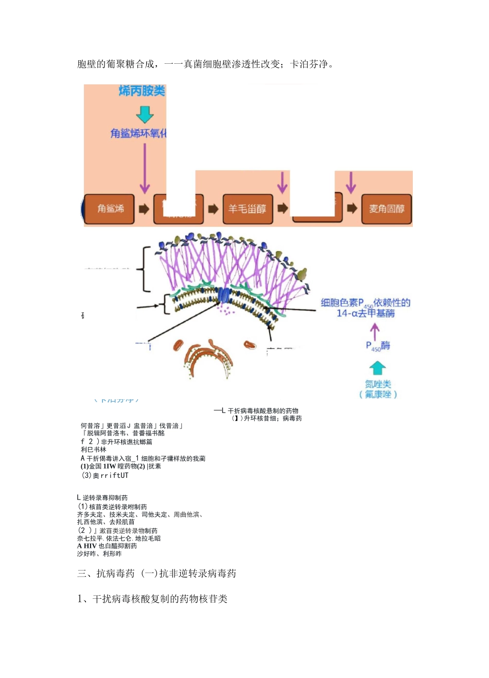 执业药师资格考试药学专业知识考试重点-抗感染药_第2页