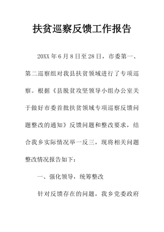 扶贫巡察反馈工作报告