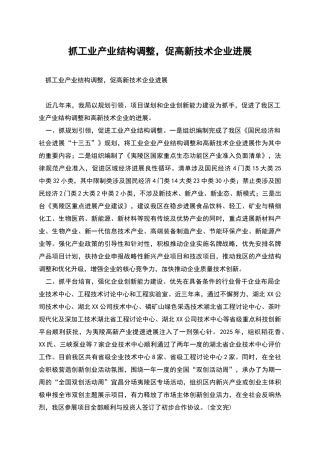 抓工业产业结构调整-促高新技术企业发展