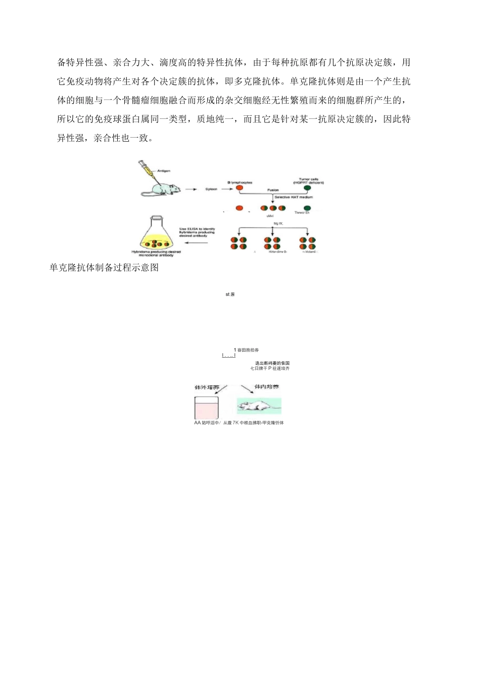 抗体技术概述及单克隆抗体技术的历史_第3页