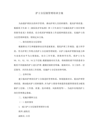 护士分层级管理培训方案