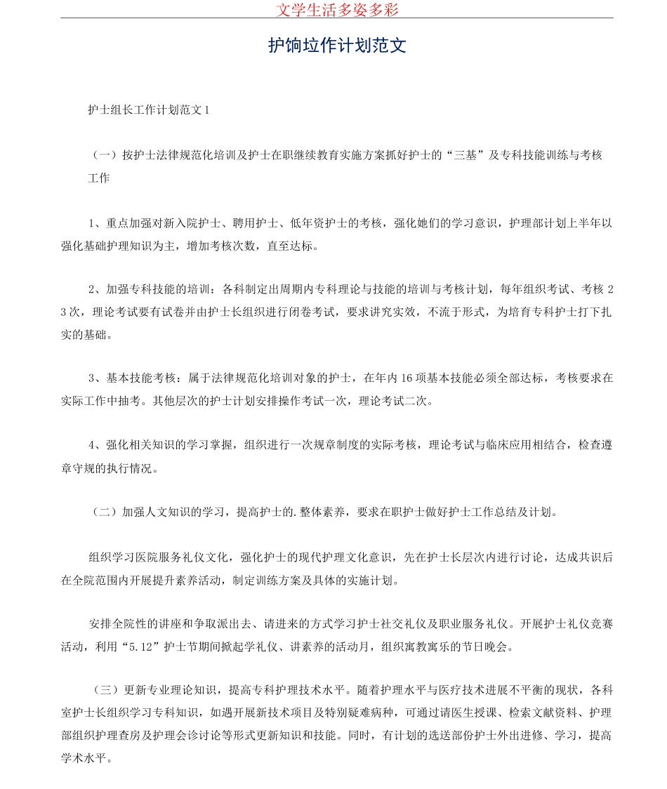 护士组长工作计划范文_第1页