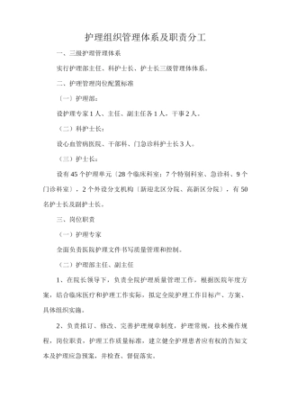 护理组织管理体系及职责分工