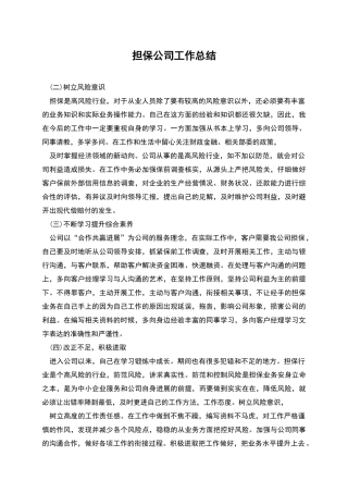 担保公司工作总结