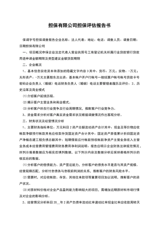 担保有限公司担保评估报告书