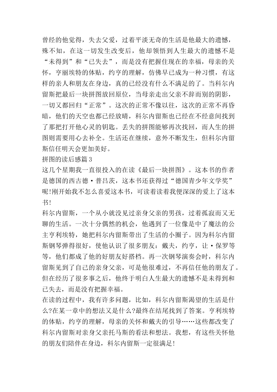 拼图的读后感7篇_第3页