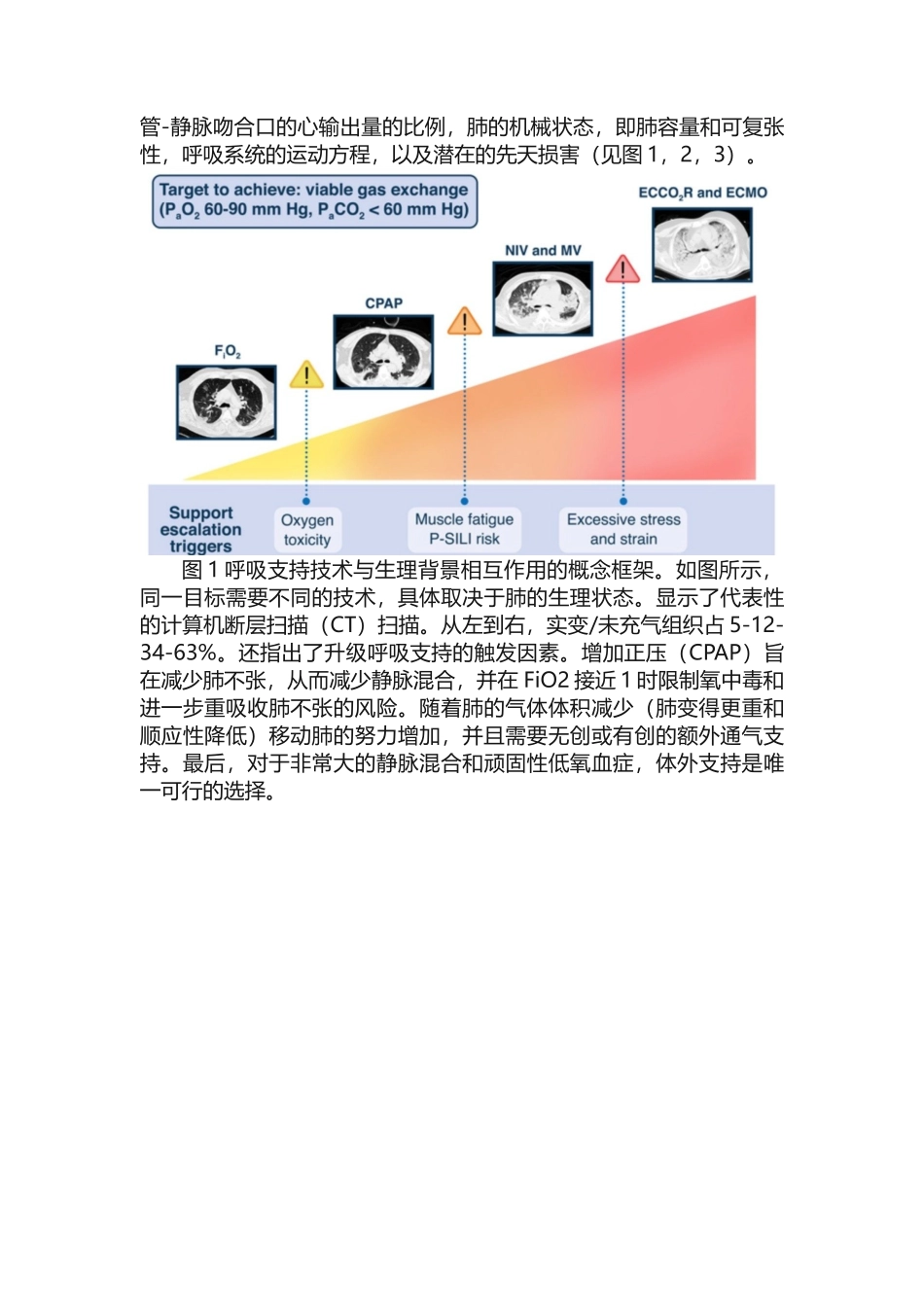 挽救生命的呼吸支持的生理基础_第2页
