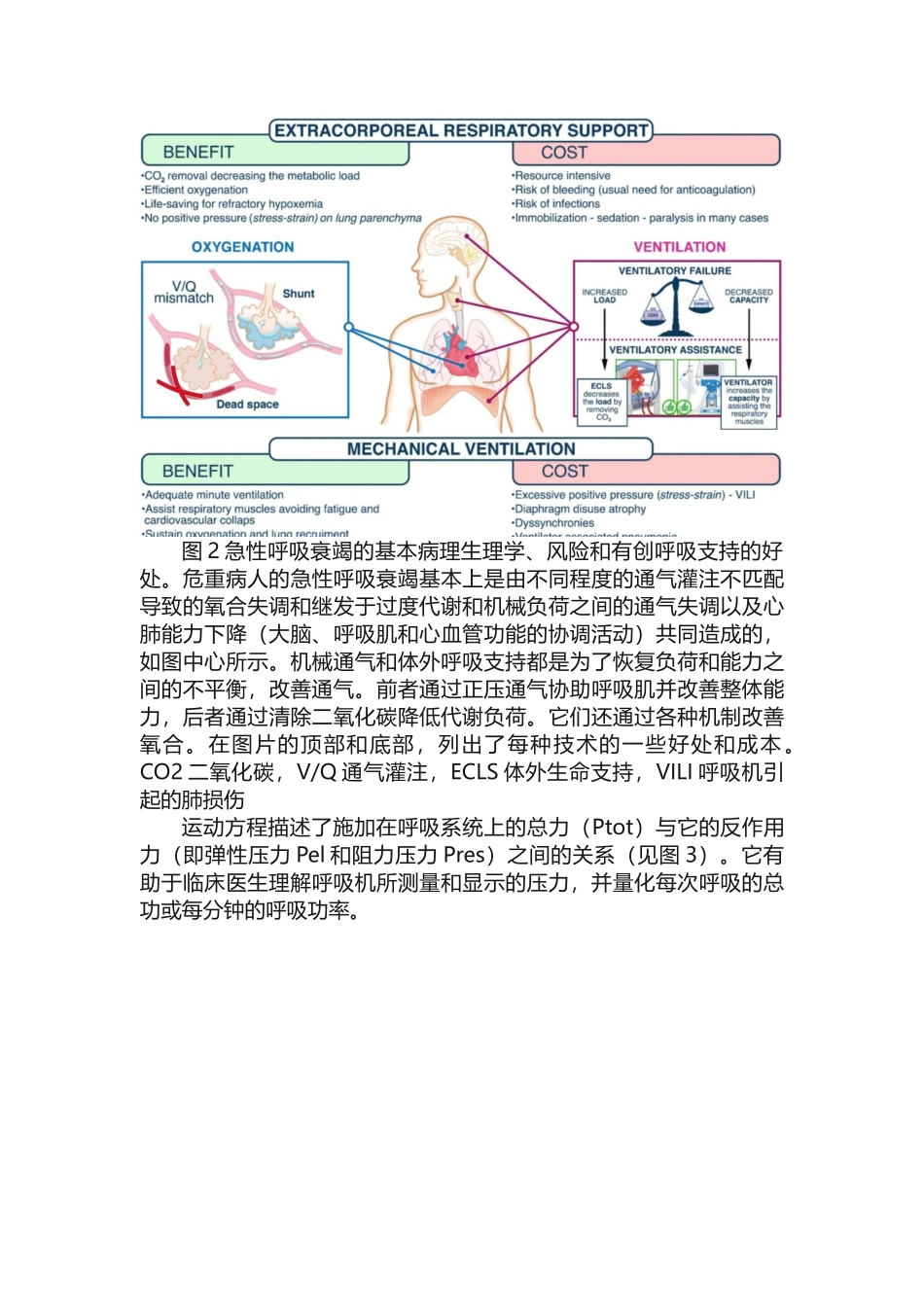 挽救生命的呼吸支持的生理基础_第3页