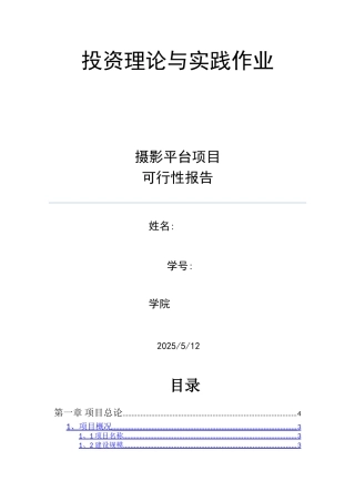 摄影平台可行性报告